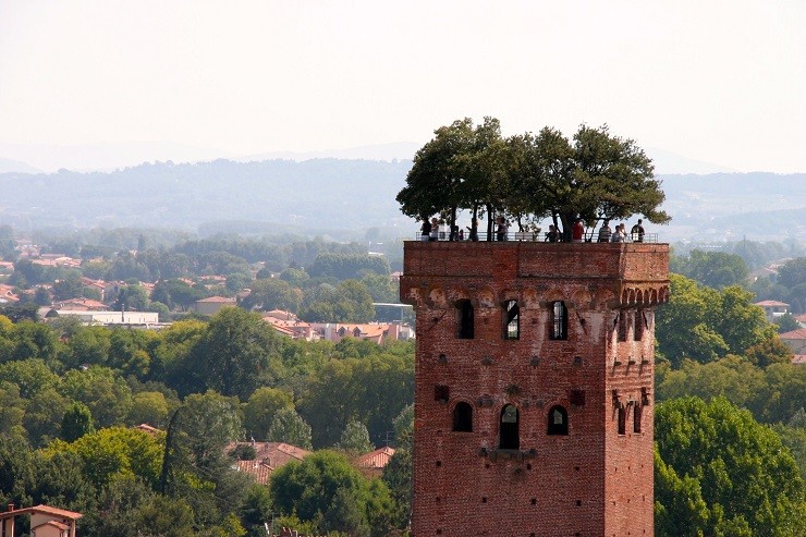 Torre di Guinigi – La torre con il giardino sopra a Lucca
